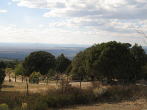 Ranch in NM